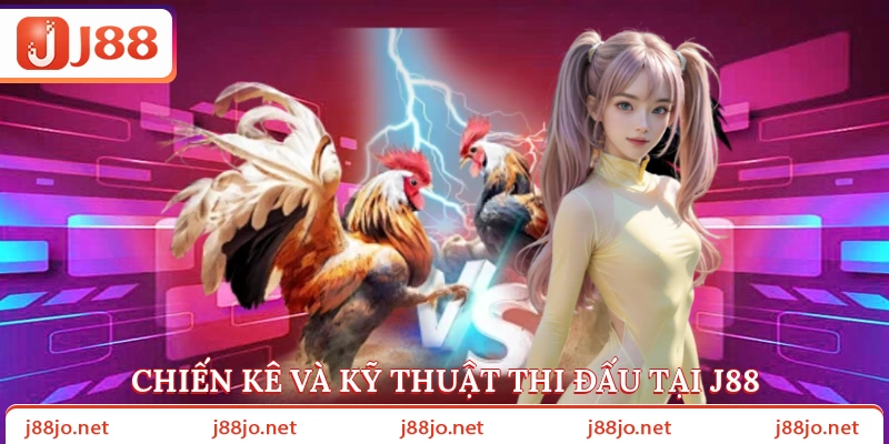 Chiến kê và kỹ thuật thi đấu tại J88