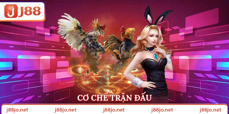 Cơ chế trận đấu