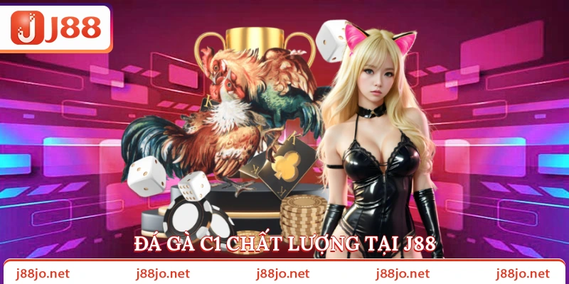 Đá gà C1 chất lượng tại J88